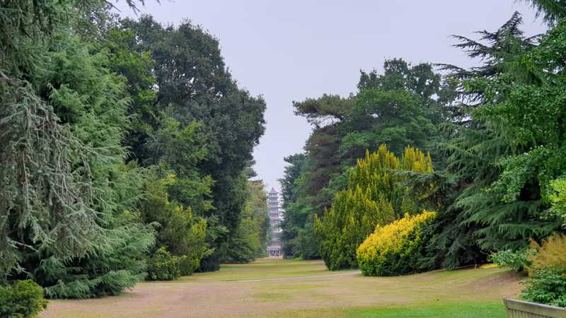 The Kew